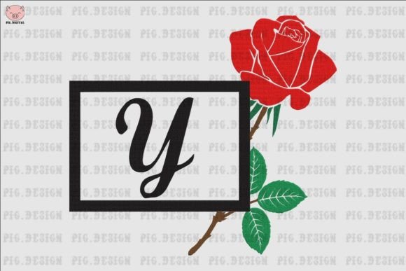Rose Font Y